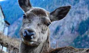 81046223 10220735979939123 1388599378184241152 o