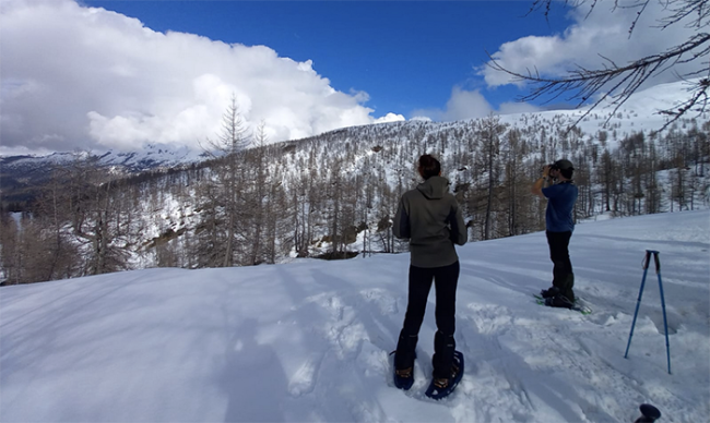 Screenshot 2025 06 08 alle 08.49.45