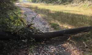 WhatsApp Image 2019 10 23 at 11.52.00