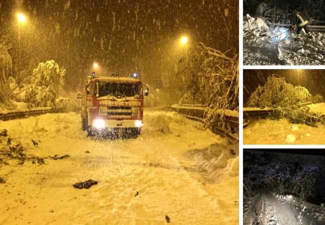 WhatsApp Image 2019 11 15 at 08.27.04ff