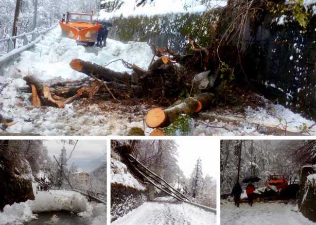 WhatsApp Image 2019 11 15 at 10.34.23k