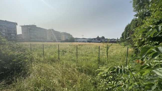 arona ex campo monte zeda