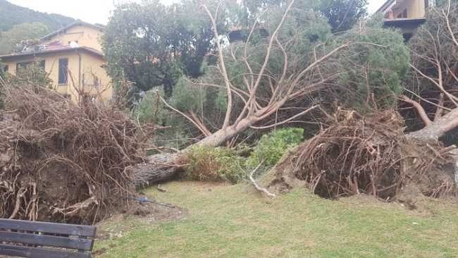 maltempo vb ago 19 8