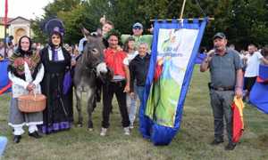 palio asini vincitore 2018