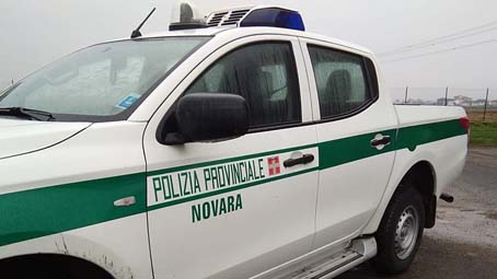 polizia provinciale