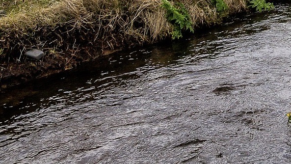 torrente foto