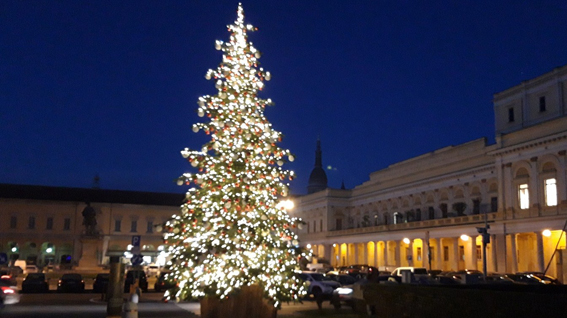 novara natale albero