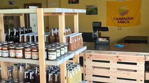 oleggio amica bolamperti