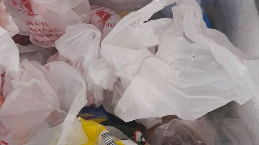 cibo conservato male