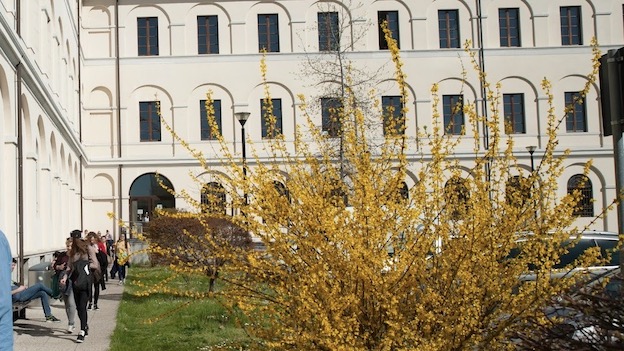 univerista campus