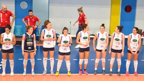 pavic