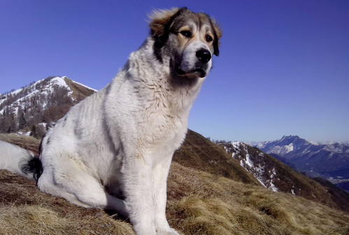 Schermata 2019 08 13 alle 11.02.49