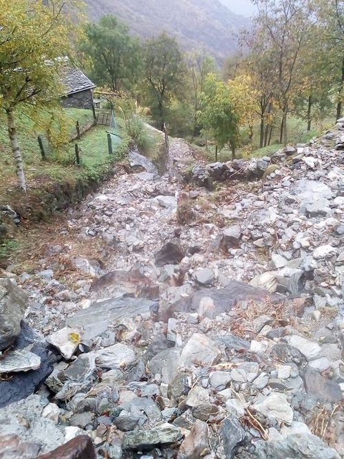 72893696 2501345839951486 8253220383038111744 o