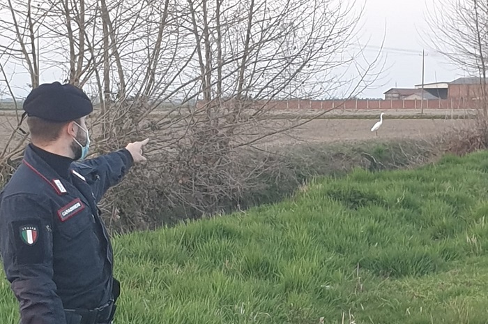 Spacciatore arrestato nei boschi dai carabinieri