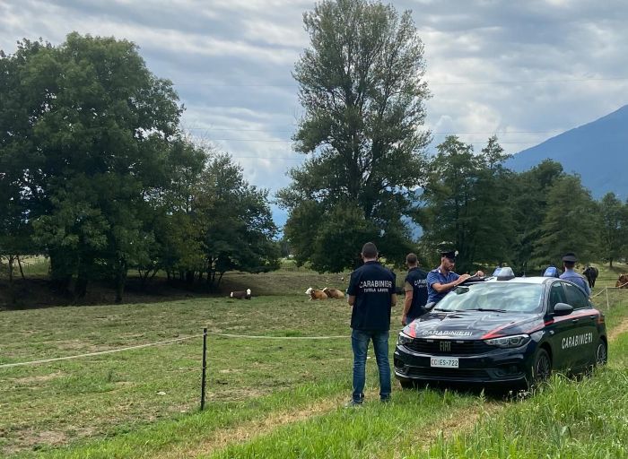 carabinieri ispettorato lavoro agricoltura
