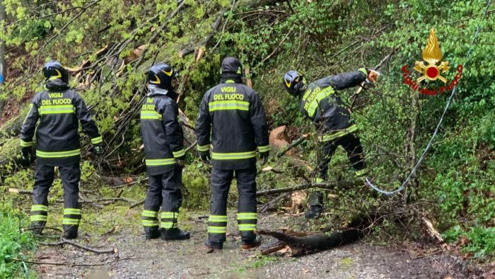 vigili del fuoco allerta meteo