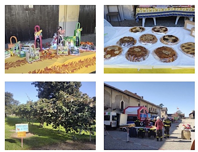 cascina graziosa raccolto