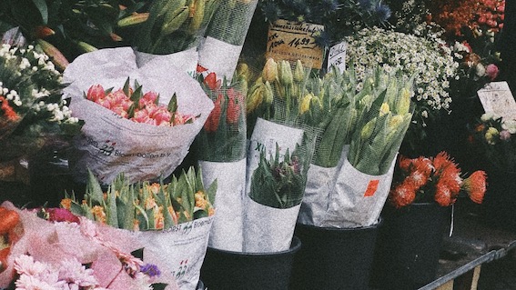 Galliate, aperte le iscrizioni per la "Festa di Primavera" del 15 marzo