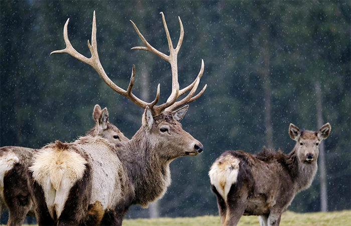 Screenshot 2025 08 29 alle 09.42.58