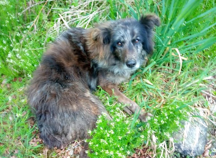 490543788 10228442084984071 3666583422424333744 n