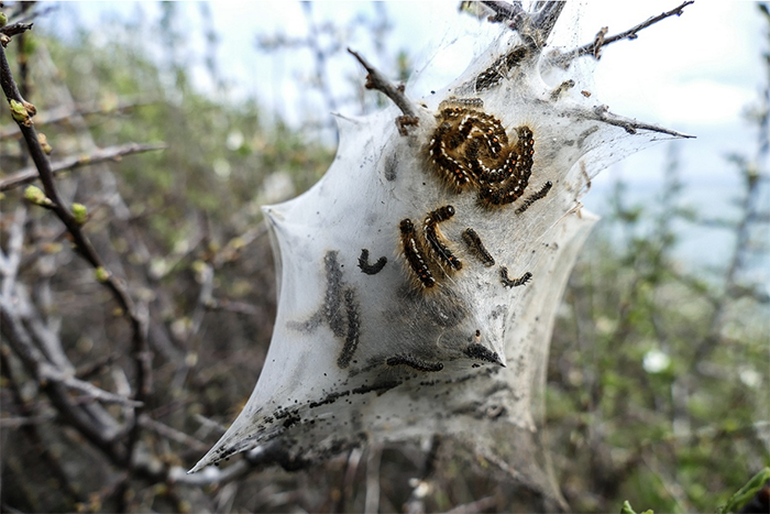 Screenshot 2025 02 02 alle 12.30.14