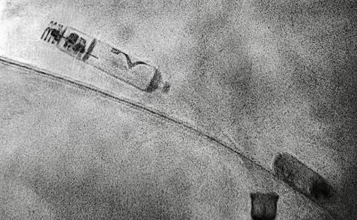 WhatsApp Image 2025 03 12 at 07.40.15