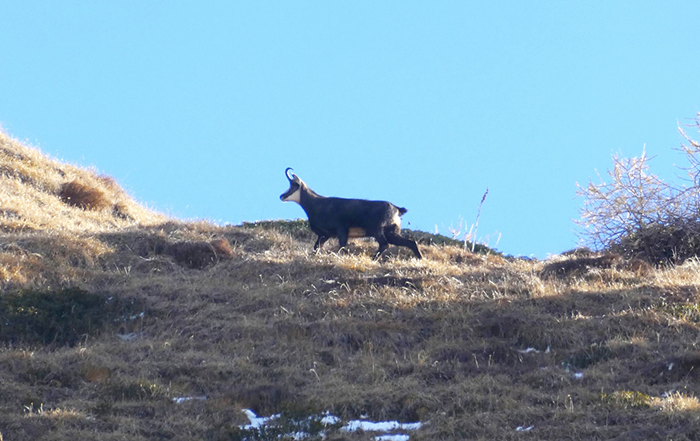 okScreenshot 2025 11 23 alle 09.14.34